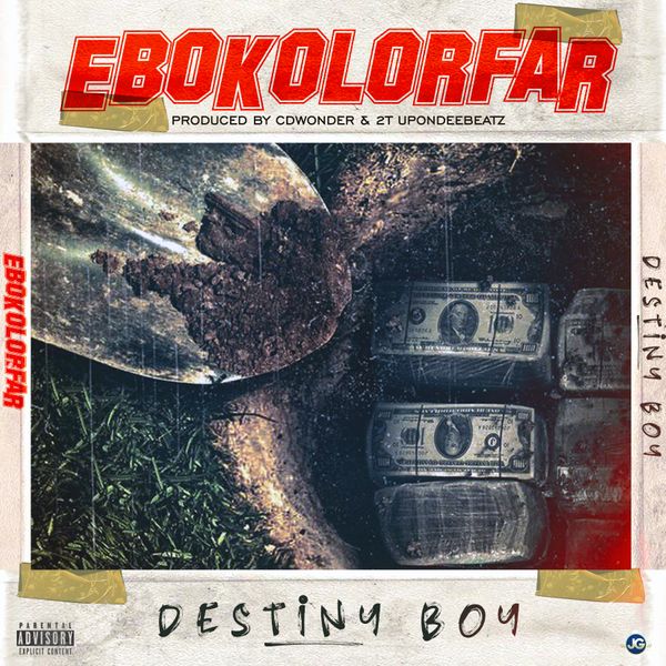 Destiny Boy - DESTINY BOY _ EBOKOLORFAR